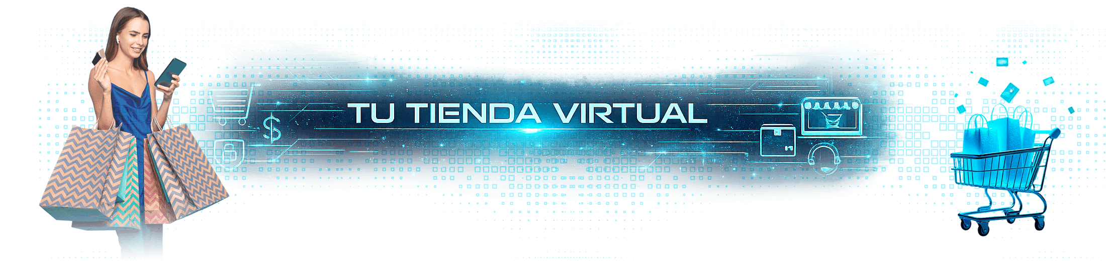 Diseño Web NETSGS